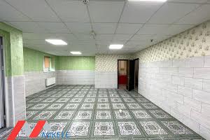 комерційна за адресою Бориса Гмирі вул., 10