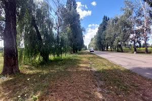 участок по адресу с. Чубинское, Виставкова, 1