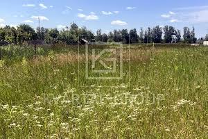 участок по адресу с. Дмитровка, Липова