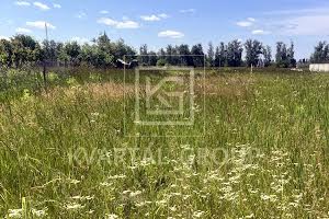участок по адресу с. Дмитровка, Липова