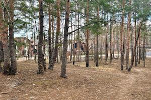 участок по адресу Шевченко ул.