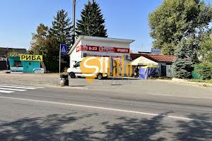 будинок за адресою 118 садова