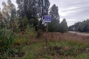 участок по адресу с. Загальцы, Линия, 2