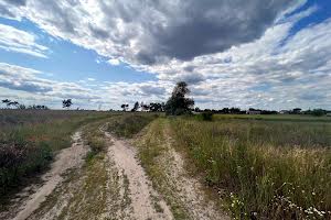 участок по адресу с. Мироцкое, 