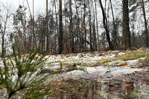 участок по адресу пгт. Ворзель, Котляревського, 53