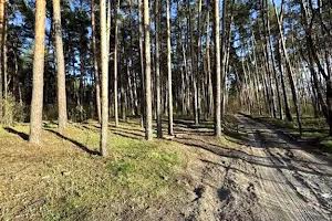 ділянка за адресою Старообухівська вул.