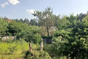 дом по адресу Садова