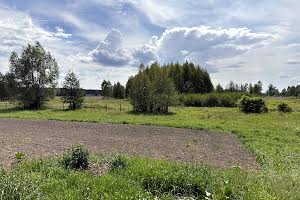 будинок за адресою с. Вахівка, Київська