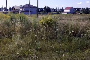 участок по адресу с. Глубокое, суворова