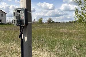 ділянка за адресою смт. Гостомель, Рильського, 18