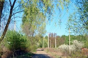 участок по адресу с. Подлесье, Жовтнева