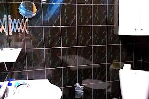 квартира за адресою Культури вул., 20