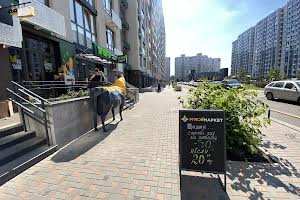 комерційна за адресою Тираспольська вул., 60