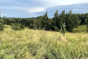 участок по адресу с. Рославичи, Лісова