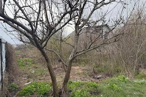 участок по адресу с. Михайловка-Рубежовка, Ворошилова
