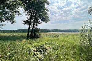 участок по адресу с. Заборье, 
