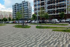 комерційна за адресою Олександра Олеся вул., 18