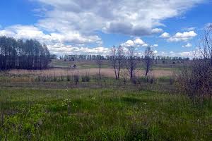 участок по адресу с. Михайловка-Рубежовка, 
