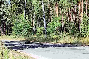 участок по адресу с. Мощун, 