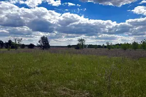 участок по адресу пгт. Гостомель, 