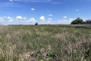 участок по адресу Белая Церковь, Независимости просп. (Леваневського), 11