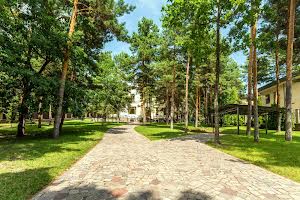 дом по адресу пгт. Козин, Обуівський