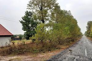 участок по адресу с. Старый Мост (Петровское), 