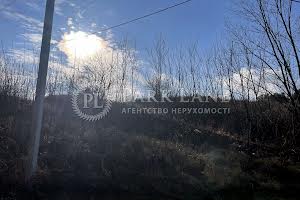 участок по адресу с. Старые Безрадичи, 