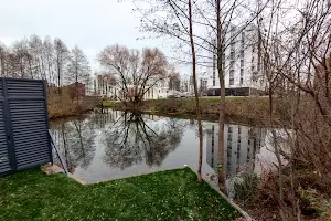 дом по адресу с. Белогородка, Веселкова