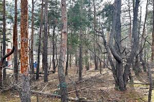 участок по адресу Шевченко ул.