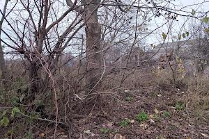 участок по адресу Мигринівська, 28