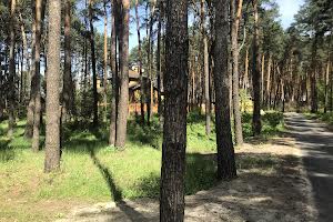 ділянка за адресою Українка, 