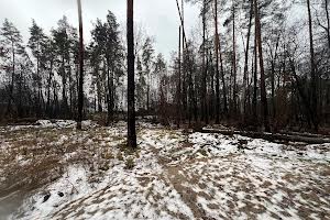 участок по адресу пгт. Ворзель, 