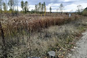 ділянка за адресою Білогородська вул.