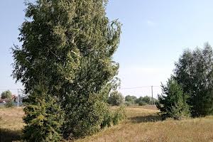 ділянка за адресою Проектна