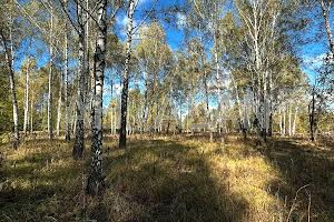 участок по адресу с. Заваловка, сонячна