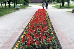 квартира по адресу Садовый проезд, 24а