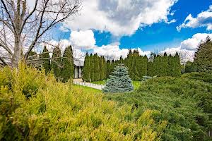 коммерческая по адресу Бориспільський, 1