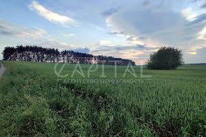 ділянка за адресою с. Рожів, 