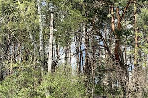 будинок за адресою садова, 6