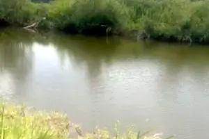 участок по адресу с. Кременище, 