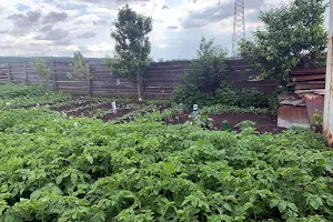 ділянка за адресою Ірпінь, 6-та Лінія вул.