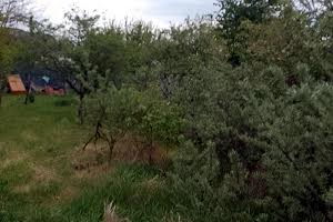 ділянка за адресою Мельниківська