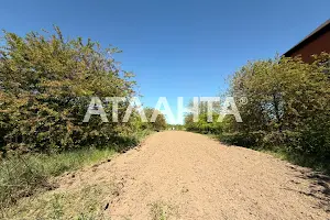 ділянка за адресою с. Чубинське, Блізніченка вул., 36