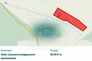 участок по адресу с. Забуянье, 