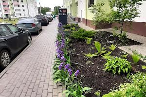 квартира за адресою Миру вул., 53