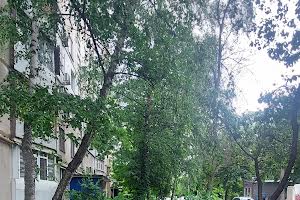 квартира по адресу Академика Павлова ул., 311