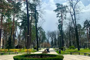комерційна за адресою Матвія Донцова вул. (Тургенєвська), 24