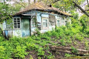 будинок за адресою Мічуріна