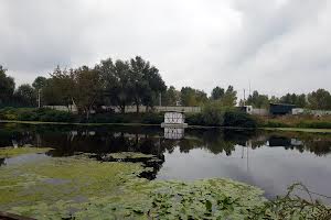 будинок за адресою Центральна вул.